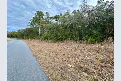 7891 N Darby Drive, Citrus Springs, FL 34433 - Photo 7