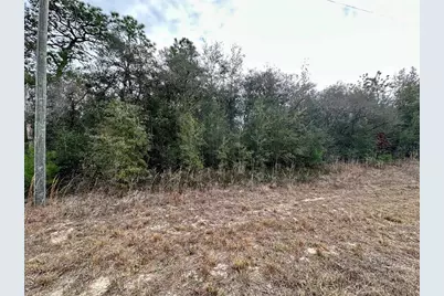 7891 N Darby Drive, Citrus Springs, FL 34433 - Photo 5