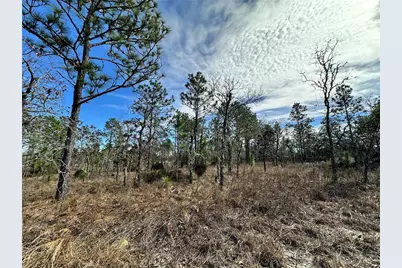 Tbd NE 150th Court, Williston, FL 32696 - Photo 1