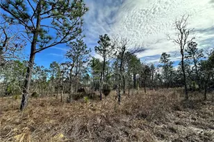 Tbd NE 150th Ct, Williston, FL 32696 - Photo 1