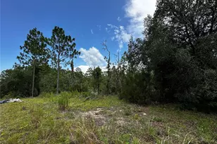 Tbd NE 16th Ln, Williston, FL 32696 - Photo 1