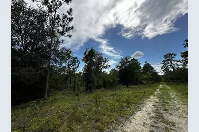 Tbd NE 16th Lane, Williston, FL 32696 - Photo 3