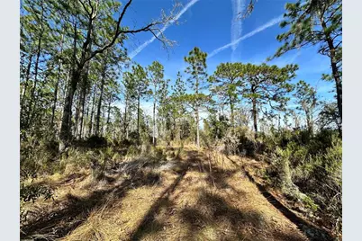 Tbd NE 19th Street, Williston, FL 32696 - Photo 7