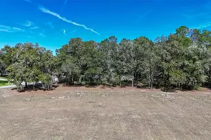 9925 SW 203rd Cir, Dunnellon, FL 34431 - Photo 67