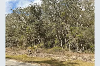 Lot 8 Fisher Trace, Ocklawaha, FL 32179 - Photo 3