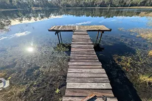 14730 SE 61st Street Rd, Ocklawaha, FL 32179 - Photo 73