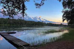 14730 SE 61st Street Rd, Ocklawaha, FL 32179 - Photo 65