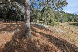 14730 SE 61st Street Rd, Ocklawaha, FL 32179 - Photo 83