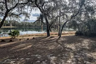 14730 SE 61st Street Rd, Ocklawaha, FL 32179 - Photo 79