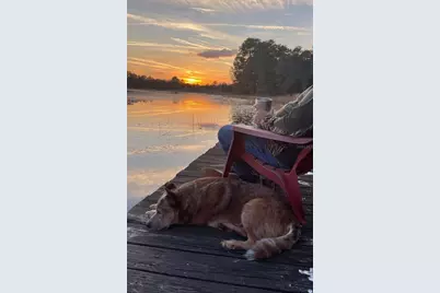 14730 SE 61st Street Road, Ocklawaha, FL 32179 - Photo 89