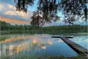 14730 SE 61st Street Rd, Ocklawaha, FL 32179 - Photo 67