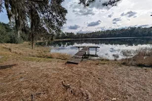 14730 SE 61st Street Rd, Ocklawaha, FL 32179 - Photo 79
