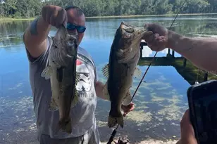 14730 SE 61st Street Rd, Ocklawaha, FL 32179 - Photo 87