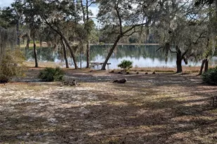 14730 SE 61st Street Rd, Ocklawaha, FL 32179 - Photo 73