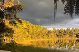 14730 SE 61st Street Rd, Ocklawaha, FL 32179 - Photo 81