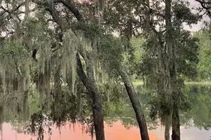 14730 SE 61st Street Rd, Ocklawaha, FL 32179 - Photo 69