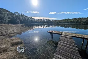 14730 SE 61st Street Rd, Ocklawaha, FL 32179 - Photo 85