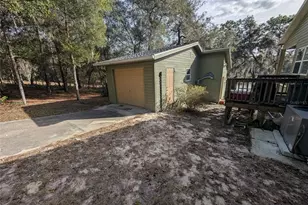14730 SE 61st Street Rd, Ocklawaha, FL 32179 - Photo 59