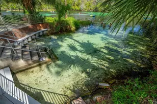 19735 SW 77th Loop, Dunnellon, FL 34432 - Photo 87