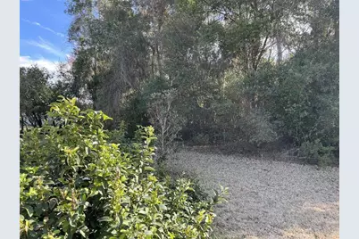 19735 SW 77th Loop, Dunnellon, FL 34432 - Photo 31