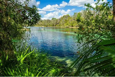 19735 SW 77th Loop, Dunnellon, FL 34432 - Photo 93