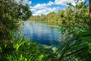 19735 SW 77th Loop, Dunnellon, FL 34432 - Photo 93