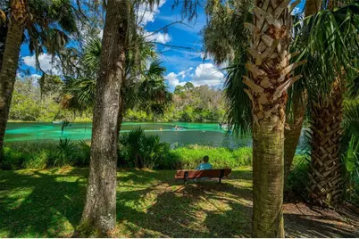 19735 SW 77th Loop, Dunnellon, FL 34432 - Photo 85