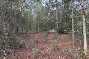 Tbd SE Audubon Ave, Dunnellon, FL 34431 - Photo 1