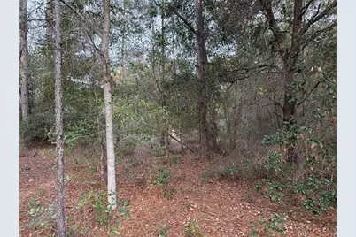 Tbd SE Audubon Avenue, Dunnellon, FL 34431 - Photo 3