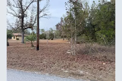 Tbd SE Audubon Avenue, Dunnellon, FL 34431 - Photo 7