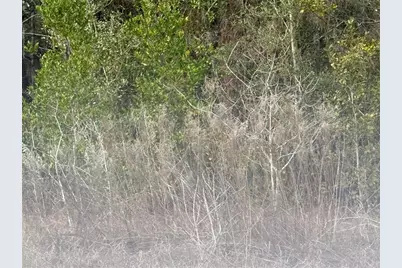 Tbd SE Audubon Avenue, Dunnellon, FL 34431 - Photo 9