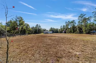18427 SW 60th St, Dunnellon, FL 34432 - Photo 59