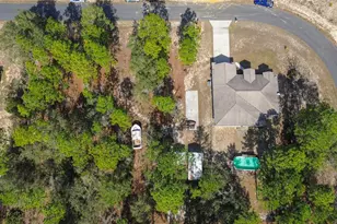 4239 W Dorchester Cir, Dunnellon, FL 34433 - Photo 5