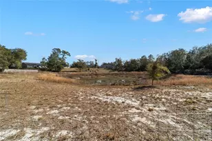 6 Malauka Circle, Ocklawaha, FL 32179 - Photo 41