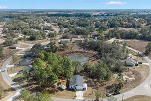 6 Malauka Circle, Ocklawaha, FL 32179 - Photo 45