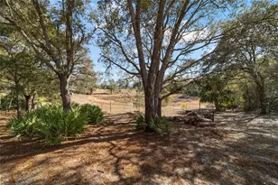 6 Malauka Circle, Ocklawaha, FL 32179 - Photo 39