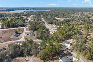 6 Malauka Circle, Ocklawaha, FL 32179 - Photo 47