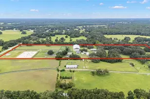 15151 & 15101 NW 162nd Terrace, Williston, FL 32696 - Photo 3