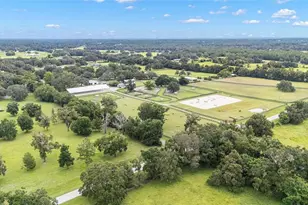 15151 & 15101 NW 162nd Terrace, Williston, FL 32696 - Photo 61