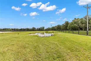 15151 & 15101 NW 162nd Terrace, Williston, FL 32696 - Photo 65