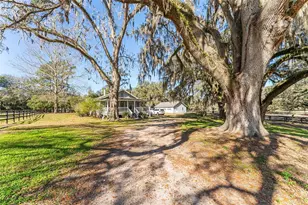 15151 & 15101 NW 162nd Terrace, Williston, FL 32696 - Photo 19