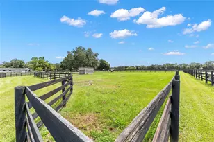 15151 & 15101 NW 162nd Terrace, Williston, FL 32696 - Photo 67