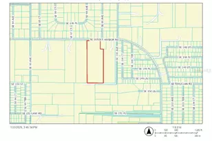 9900 SE Sunset Harbor Rd, Summerfield, FL 34491 - Photo 41