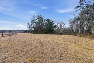9900 SE Sunset Harbor Rd, Summerfield, FL 34491 - Photo 29