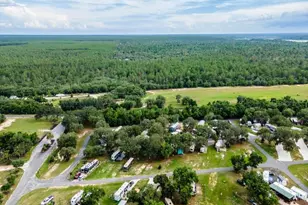 15991 NE 243rd Pl Rd, Fort Mc Coy, FL 32134 - Photo 31