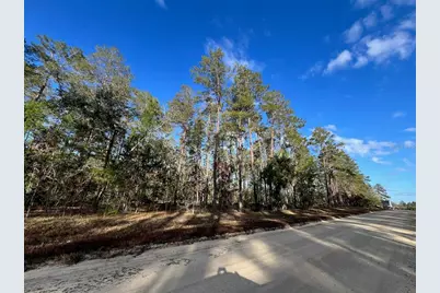 Se 126 Avenue, Morriston, FL 32668 - Photo 15