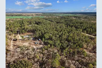 Se 126 Avenue, Morriston, FL 32668 - Photo 11