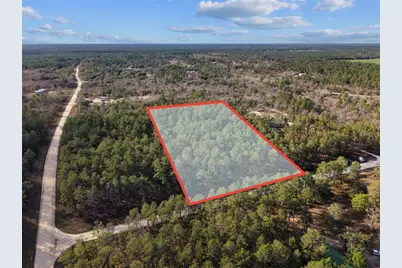 Se 126 Avenue, Morriston, FL 32668 - Photo 1