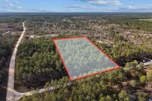 SE 126 Ave, Morriston, FL 32668 - Photo 1