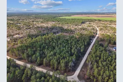 Se 126 Avenue, Morriston, FL 32668 - Photo 9